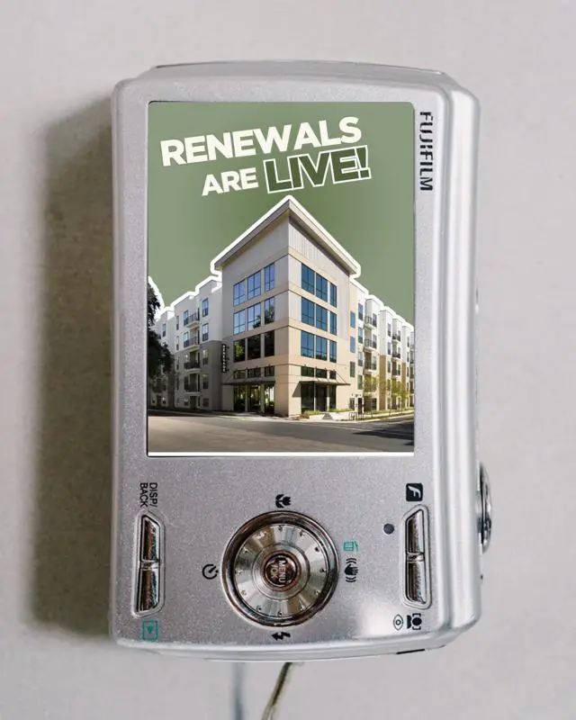 it’s renewal sznnn💚